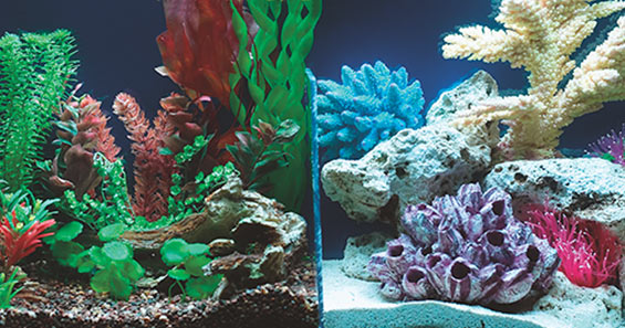 How to Properly Illuminate Your Aquarium