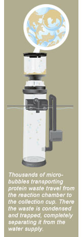 protein skimmers how protein