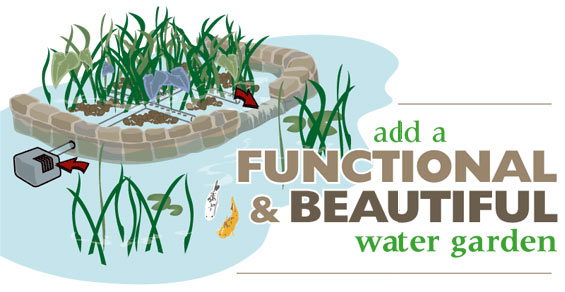 Pond Construction Enhancement Enhance Filtration With A Bog Filter