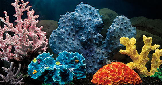 Top 5 Benefits of Artificial Corals