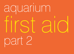 First Aid For Your Aquarium: First Aid Procedures