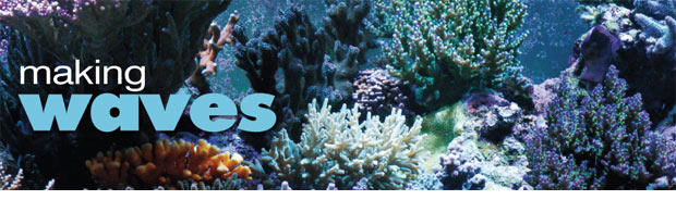 Water Motion in Reef Aquariums