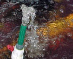 Proper aeration is necessary when quarantining pond fish
