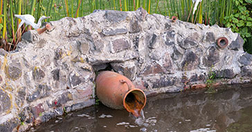 Testing Pond Water