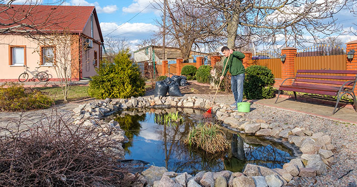 Koi pond preparation for Spring