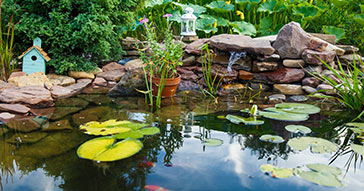 Perform Water Changes after Cleaning Your Koi Pond