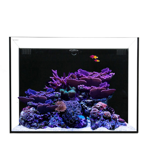 Waterbox ALL-IN-ONE 30.2 Aquarium System