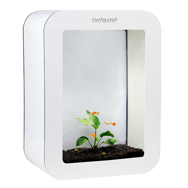 LiveAquaria® Beginner Guppy Aquarium Kit Cubi White