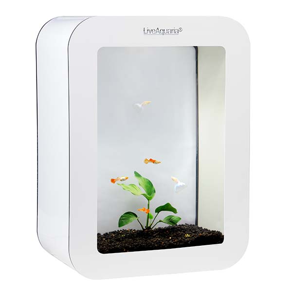 LiveAquaria® Premium Guppy Aquarium Kit Cubi White