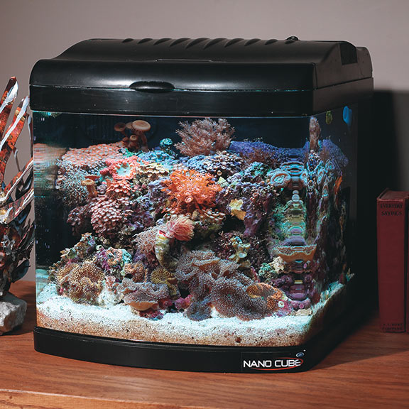 Fan-Cooled Nano Cube Aquariums