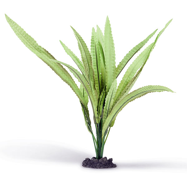 Azoo Real Plant Artificial Echinidorus amazonicus - Green