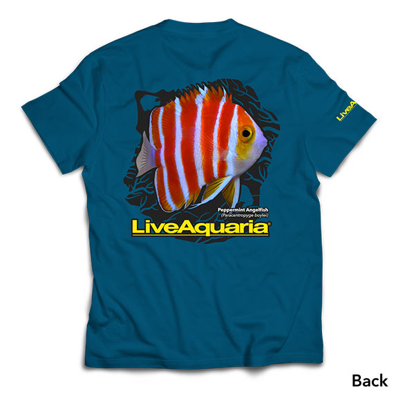LiveAquaria T-Shirt - Peppermint Angel