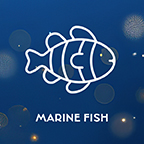 Marine Fish