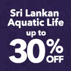 Sri Lankan Sale