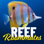 Reef Roommates