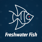 Freshwater Fish