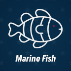 Marine Fish