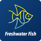 Freshwater Fish