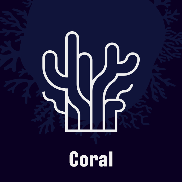 Corals