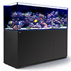 Red Sea REEFER™ XXL 750 Rimless Reef Ready System, Black