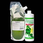 Rotifer Grow Kit