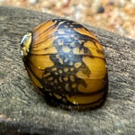 Batik Snail