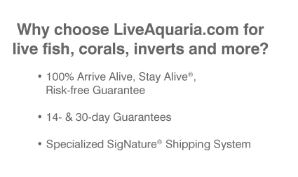 Why choose LiveAquaria.com