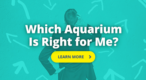 Which Aquarium is right for me?