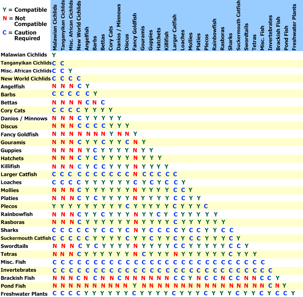 Petco Fish Compatibility Chart