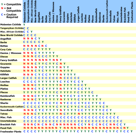 Fish Comparison Chart