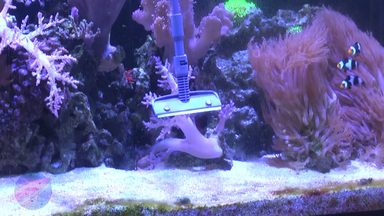 LiveAquaria® 6 in 1 Aquarium Cleaning Tool